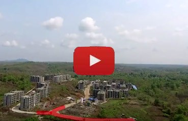 Xrbia Neral July 2017 Newsletter