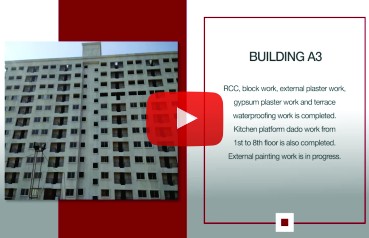 Xrbia Ambi February 2018 Newsletter