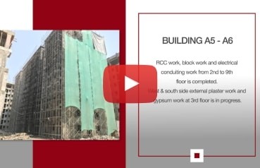 Xrbia Neral February 2018 Newsletter